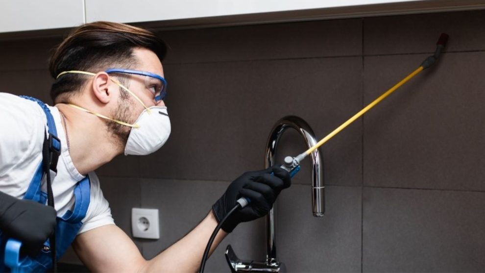 Pest Control Techniques