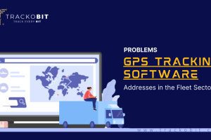 Problems GPS Tracking Software Addresses in the Fleet Management