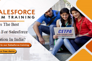 Which Is The Best Institute For Salesforce Certification In India