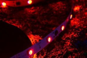 led lights strip 10 meter