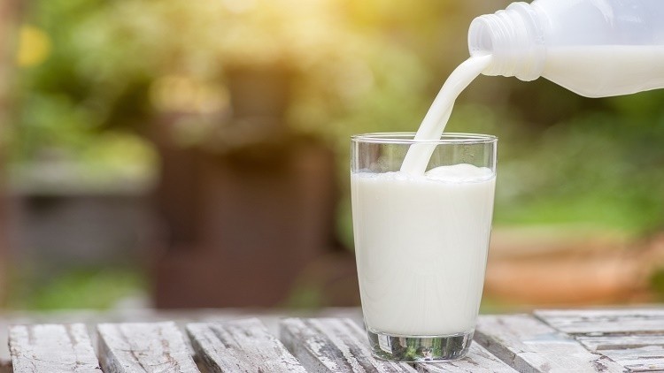 GCC Fresh Milk Market