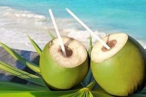 coconut