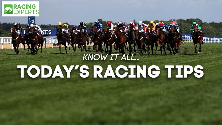 horse racing tips today