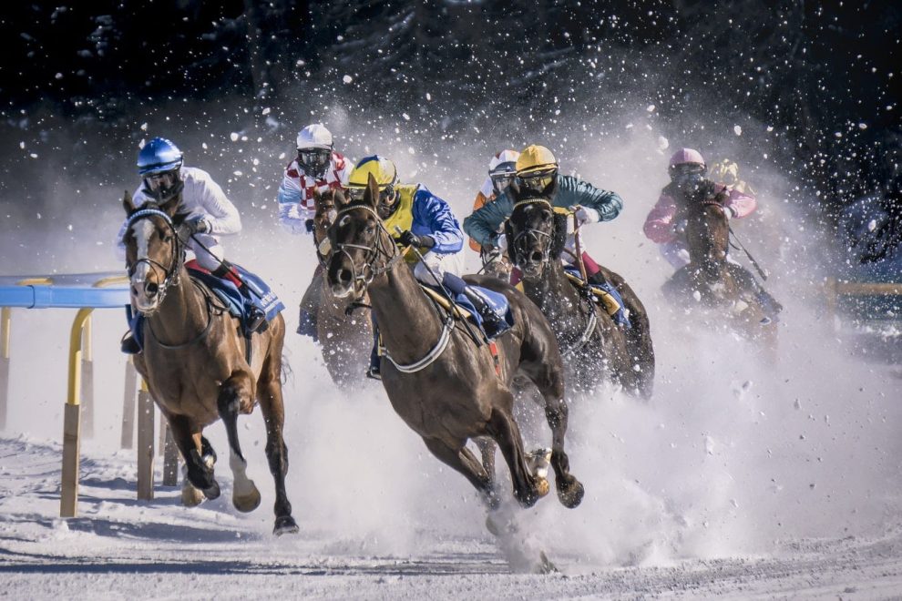 horse racing