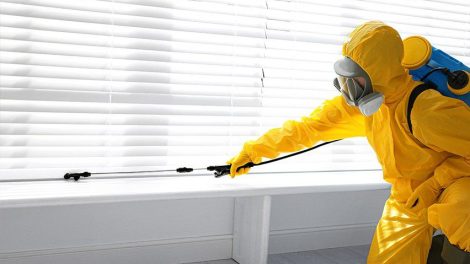 pest-control