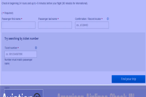 American Airlines Check in