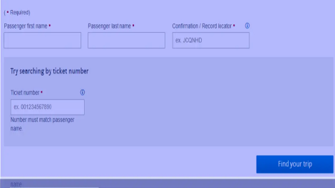 American Airlines Check in