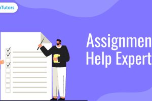 How Assignment Help Experts Can Help You Succeed in Your Academics?