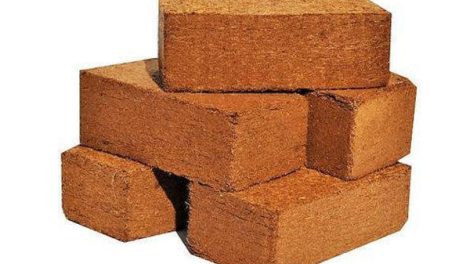 coconut peat block suppliers