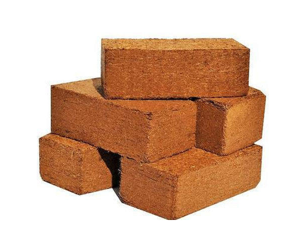 coconut peat block suppliers
