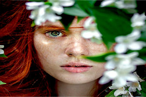 Top Essential Oils And Stress