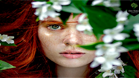 Top Essential Oils And Stress