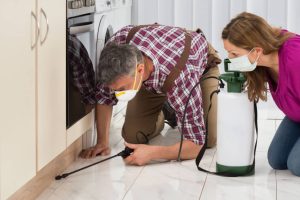 Hiring a Pest Control Service
