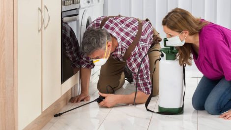 Hiring a Pest Control Service