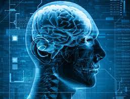 Human Enhancement Market