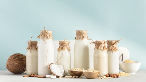 Lactose Market Report
