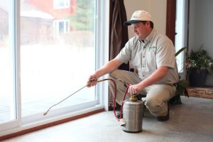 Rat Extermination Toronto