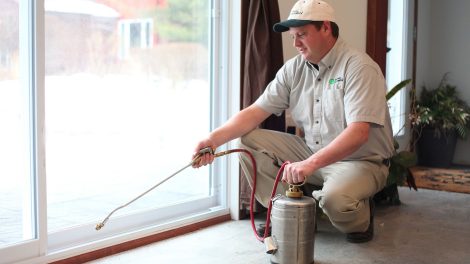 Rat Extermination Toronto