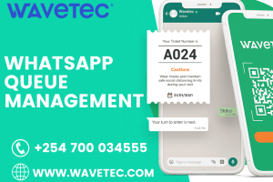Virtual queue management systems