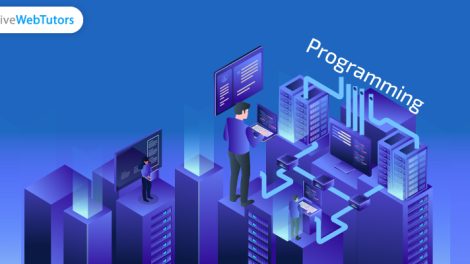 Programming-Assignment-Help