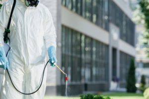 Ways To Get Rid Of Flies