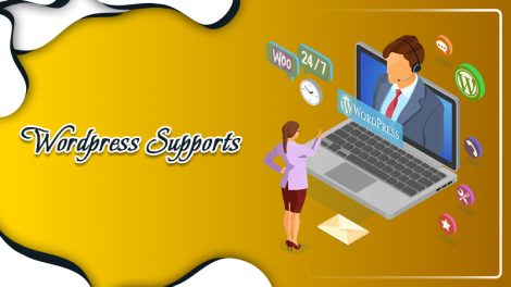 Wordpress Support