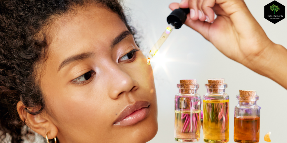 essential oil manufacturer in India