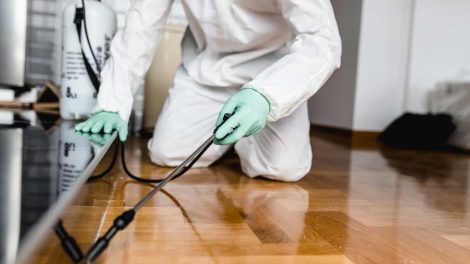 Pest Control Werribee