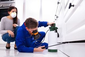 Pest Control Services in Sharjah