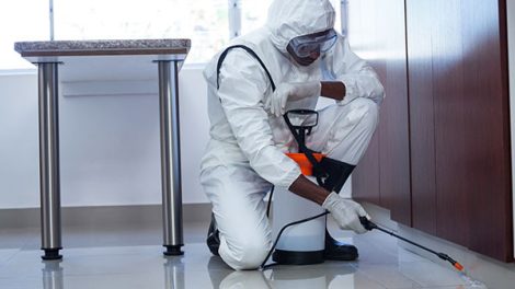 Pest Control Thomastown