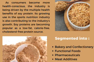 Soy Protein Market