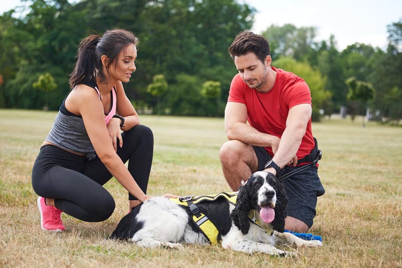 Delhi Dog Training 