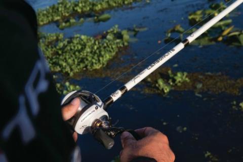 fishing