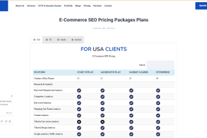 Ecommerce Seo Pricing