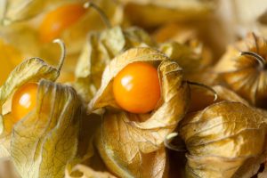 Health Benefits of Chopped Leaves and Ground Cherries