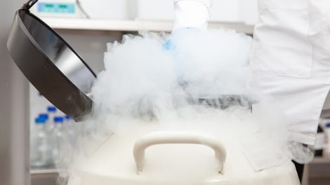 Liquid Nitrogen Market