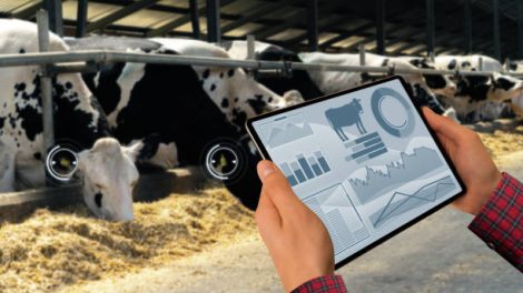 Precision Livestock Farming Market