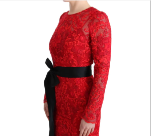 Rose Embroidered Dress