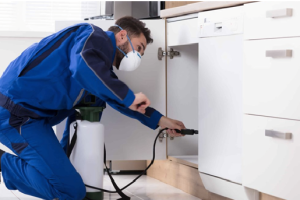 Pest Control Melbourne