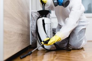 pest prevention