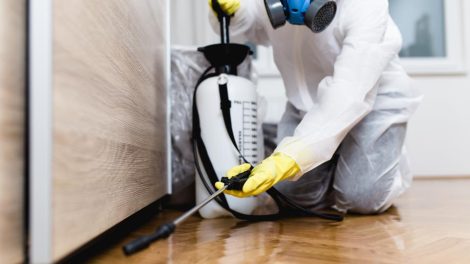 pest prevention