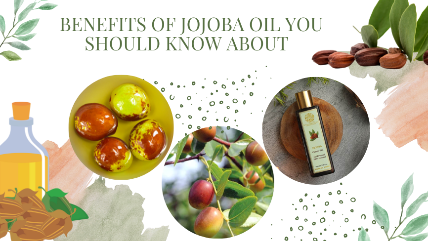 jojoba oil benefits