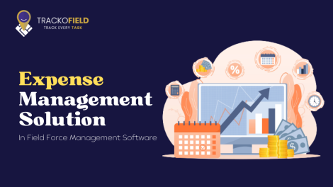 Expense Management Solution In Field Force Management System
