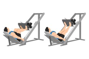 Leg Press Machine