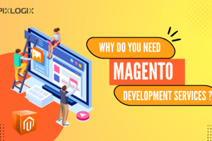 Magento Development Services