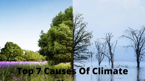 Causes Of Climate Change