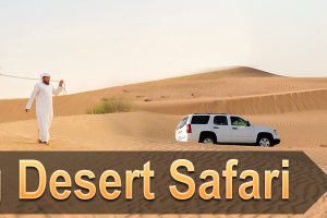 Morning Desert Safari