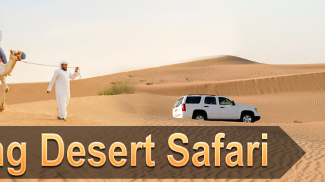 Morning Desert Safari