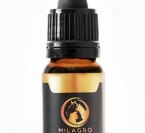 CBD oil for dogs UK