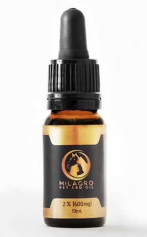 CBD oil for dogs UK